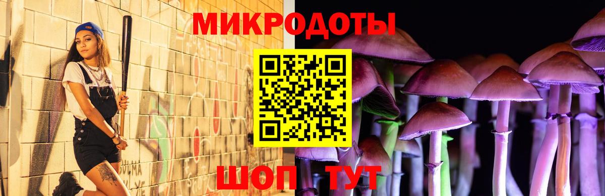 Галлюциногенные грибы MAGIC MUSHROOMS  Вход с VPN  Лесной  Галлюциногенные грибы мухоморы 